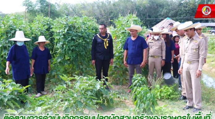 ติดตามการดำเนินกิจกรรมปลูกผักสวนครัวของราษฎรในพื้นที่ ตามโครงการ ระแงะ มีดี มีสุข ตามหลักปรัชญาของเศรษฐกิจพอเพียง