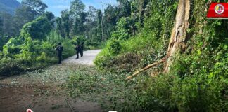 เกิดเหตุคนร้ายลอบวางระเบิด จนท.ทหารพราน ขณะปฏิบัติหน้าที่ลาดตระเวนเส้นทางในพื้นที่ อ.บันนังสตา จ.ยะลา แรงระเบิดทำให้ จนท. เสียชีวิต 1 นาย บาดเจ็บ 2 นาย