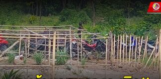 คนร้ายลอบวางระเบิดแปลงปลูกผักเศรษฐกิจพอเพียง หวังทำลายกลุ่มมวลชนที่ให้ความร่วมมือกับเจ้าหน้าที่