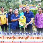 จังหวัดยะลาเปิดฤดูกาลเก็บเกี่ยวทุเรียนสะเด็ดน้ำประจำปี 2566 เดินหน้ากระตุ้นเศรษฐกิจชายแดนใต้