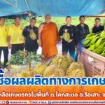 รับซื้อผลผลิตทางการเกษตร เพื่อช่วยเหลือเกษตรกรในพื้นที่