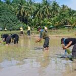 661208-02-008 – Copy