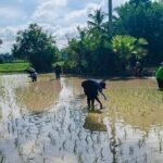 661208-02-009 – Copy