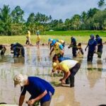 661208-02-010 – Copy