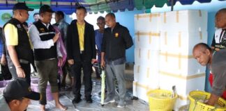 เกษตรกรผู้เลี้ยงปลากะพงขาวชายแดนใต้ ปลื้มใจ สหกรณ์จังหวัดปัตตานี ช่วยกระจายผลผลิตไปยังสหกรณ์ทั่วประเทศ กว่า 4 ตัน