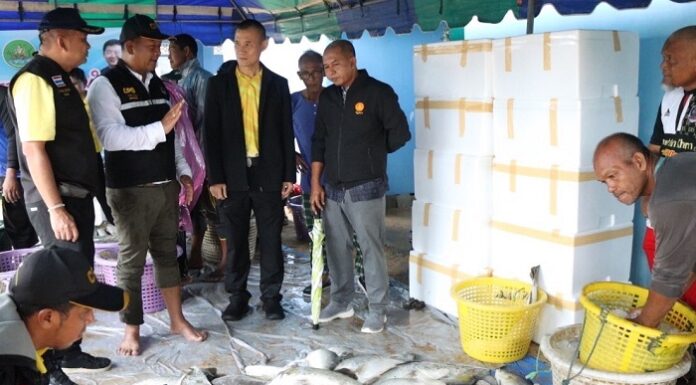 เกษตรกรผู้เลี้ยงปลากะพงขาวชายแดนใต้ ปลื้มใจ สหกรณ์จังหวัดปัตตานี ช่วยกระจายผลผลิตไปยังสหกรณ์ทั่วประเทศ กว่า 4 ตัน