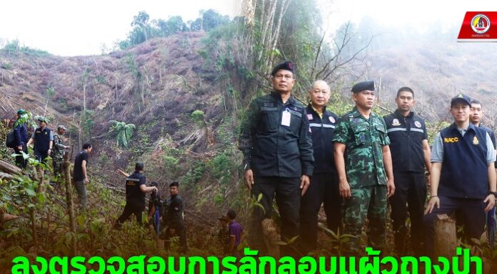 กอ.รมน.ภาค 4 สน. ร่วมกับ สำนักงาน ป.ป.ช. ประจำ จ.ยะลา ลงตรวจสอบการลักลอบแผ้วถางป่า บริเวณพื้นที่เกาะใหญ่กลางทะเลสาบฮาลาบาลา