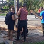 415298184_773008938204257_8909192144236332720_n_0