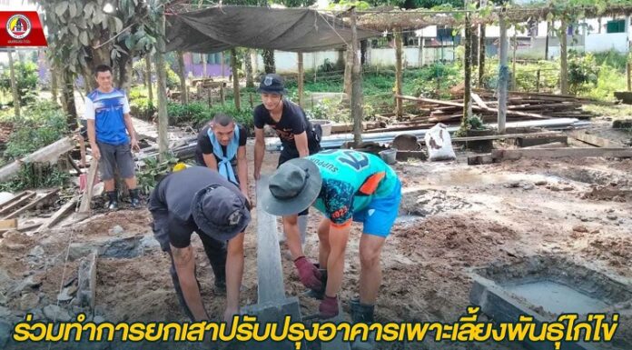 ร่วมทำการยกเสาปรับปรุงอาคารเพาะเลี้ยงพันธุ์ไก่ไข่ หลังได้รับผลกระทบจากอุทกภัยในห้วงที่ผ่านมา