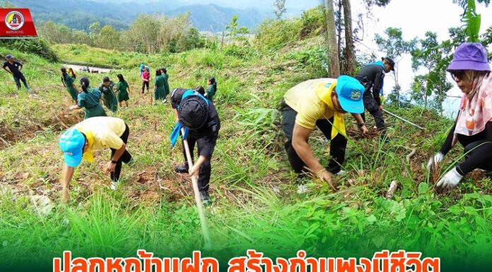 ปลูกหญ้าแฝก สร้างกำแพงมีชีวิต ช่วยป้องกันการพังทลายของหน้าดิน ในพื้นที่ บ.ตลาดนิคม ต.ตลิ่งชัน อ.บันนังสตา จ.ยะลา