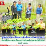 ศูนย์ประสานงานโครงการอันเนื่องมาจากพระราชดำริ ขับเคลื่อนงานตามโครงการเสริมสร้างชุมชนที่เข้มแข็ง ในพื้นที่ จ.สงขลา