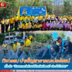 กิจกรรม บำเพ็ญสาธารณะประโยชน์ เนื่องใน “วันสหกรณ์แห่งชาติจังหวัดปัตตานี ประจำปี 2567”