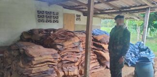 ทภ.4 บูรณาการร่วมกับหน่วยงานที่เกี่ยวข้องขจัด ยับยั้ง ปราบปรามการลักลอบนำเข้ายางพาราเถื่อน ส่งผลราคายางไทยขยับสูงขึ้น พร้อมเฝ้าระวังคุมเข้มแนวชายแดนต่อเนื่อง