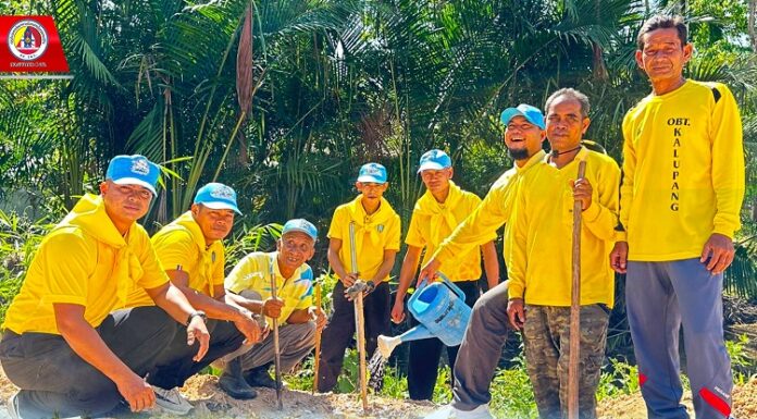 จิตอาสาทหารพราน 41 ร่วมกับ อบต.กาลูปัง “ปลูกต้นไม้” เนื่องในโอกาสมหามงคล เฉลิมพระชนมพรรษา 6 รอบ 28 กรกฎาคม 2567