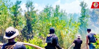 “ทหารพราน 44” จัดกำลังพล ร่วมกับส่วนราชการในพื้นที่ เข้าให้การช่วยเหลือในการดับไฟป่า