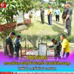 เสธ.ศปพร. ตรวจเยี่ยมการดำเนินการจัดทำป้าย และรั้วล้อมต้นไม้ทรงปลูก ในพื้นที่ อ.สะบ้าย้อย จ.สงขลา