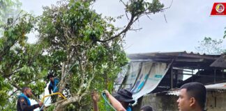 ทหารพราน 41 เข้าช่วยเหลือรื้อถอนกิ่งไม้และต้นไม้ที่ล้มทับบ้าน เนื่องจากฝนตกหนักเมื่อคืนที่ผ่าน ในพื้นที่ อ.รามัน จ.ยะลา