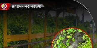 พลเมืองดีแจ้งเจ้าหน้าที่ ตรวจสอบพบวัตถุต้องสงสัยคล้ายระเบิดบริเวณริมถนนในพื้นที่ ต.นาเกตุ อ.โคกโพธิ์ จ.ปัตตานี