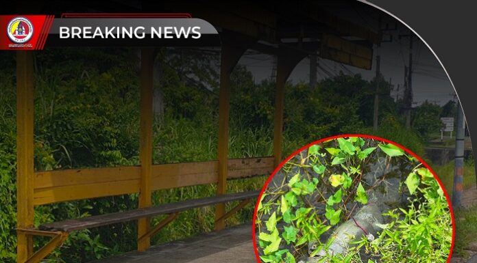 พลเมืองดีแจ้งเจ้าหน้าที่ ตรวจสอบพบวัตถุต้องสงสัยคล้ายระเบิดบริเวณริมถนนในพื้นที่ ต.นาเกตุ อ.โคกโพธิ์ จ.ปัตตานี