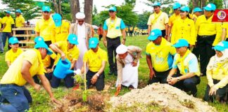 ทหารพราน 41 ร่วมกิจกรรมจิตอาสา โครงการปลูกต้นศรียะลา เนื่องในโอกาสมหามงคลเฉลิมพระชนมพรรษา 6 รอบ 28 กรกฎาคม 2567