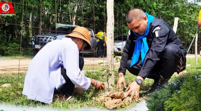 ทหารพราน 41 ร่วมกิจกรรมจิตอาสา “เราทำความดี ด้วยหัวใจ” อนุรักษ์ทรัพยากรธรรมชาติและสิ่งแวดล้อมในชุมชนในพื้นที่ อ.รามัน จ.ยะลา