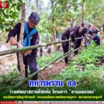 ทหารพราน 44 ร่วมพัฒนาสถานที่จัดตั้ง โครงการ “สวนลองกอง” สมเด็จพระกนิษฐาธิราชเจ้า กรมสมเด็จพระเทพรัตนราชสุดาฯ สยามบรมราชกุมารี