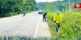 ร้อย.ทพ.4902 ร่วมกิจกรรมจิตอาสาพัฒนาสาธารณประโยชน์ ปรับปรุงภูมิทัศน์ตัดหญ้าบริเวณสองข้างทาง บ.รือเปาะ ต.ดุซงญอ อ.จะแนะ จ.นราธิวาส