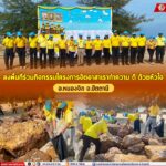 ลงพื้นที่ร่วมกิจกรรมโครงการจิตอาสาเราทำความ ดี ด้วยหัวใจ อ.หนองจิก จ.ปัตตานี