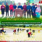“ดำนา ปลูกข้าว ตามรอยพ่อ” น้อมนำหลักปรัชญาของเศรษฐกิจพอเพียง เพื่อพัฒนาการเกษตรอย่างยั่งยืน