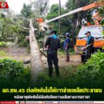 ฉก.ทพ.45 เร่งตัดต้นไม้ให้การช่วยเหลือประชาชน หลังพายุพัดต้นไม้ล้มทับกีดขวางเส้นทางการจราจร