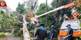 ฉก.ทพ.45 เร่งตัดต้นไม้ให้การช่วยเหลือประชาชน หลังพายุพัดต้นไม้ล้มทับกีดขวางเส้นทางการจราจร