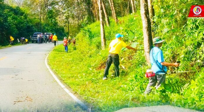 ปรับปรุงภูมิทัศน์พัฒนาสองข้างทาง สร้างความปลอดภัยและความรักสามัคคีในชุมชน