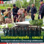 ร่วมกิจกรรมค่ายลูกเสือ – เนตรนารี ฝึกการปฐมพยาบาลเบื้องต้นและการเข้าช่วยเหลือผู้บาดเจ็บให้กับนักเรียน