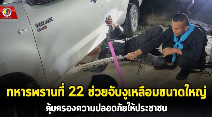 ทหารพราน 22 ช่วยจับงูเหลือมขนาดใหญ่ คุ้มครองความปลอดภัยให้ประชาชน