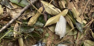 ผลปืน 4 คนร้าย ก่อเหตุเพียบ