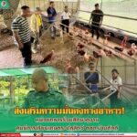 ส่งเสริมความมั่นคงทางอาหาร! หน่วยทหารร่วมศึกษาดูงานศูนย์การเรียน เกษตร-ปศุสัตว์ ตชด.บ้านภักดี