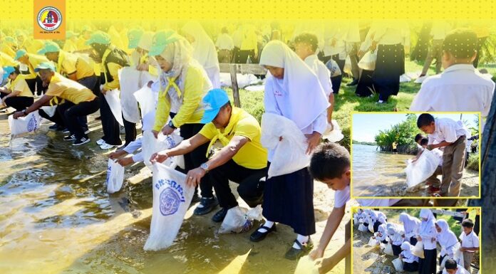 ทหารพราน 44 ร่วมปล่อยพันธุ์กุ้งแชบ๊วย คืนชีวิตให้ธรรมชาติ สานต่อภารกิจจิตอาสาเพื่อชุมชน “ธรรมชาติคือบ้านของเรา… และการอนุรักษ์คือหน้าที่ของทุกคน