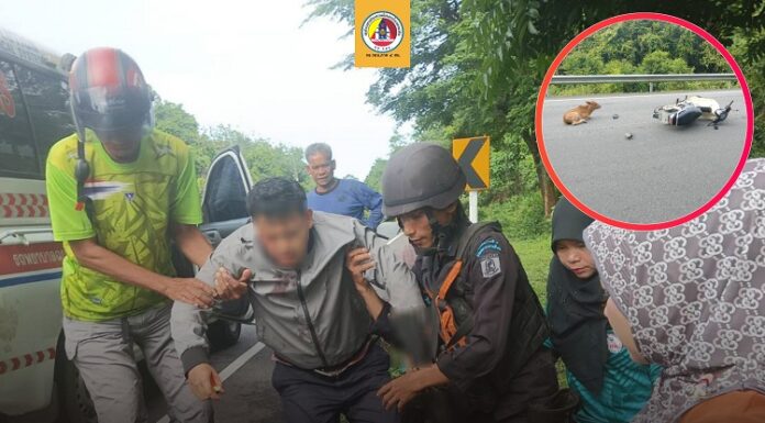 ทหารพราน 46” เข้าช่วยเหลือประชาชนประสบอุบัติเหตุรถจักรยานยนต์ชนวัว จ.นราธิวาส