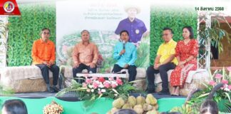 ยะลาจัด “มหกรรมผลไม้และของดีเมืองยะลา” ครั้งที่ 17 ดันเป้าหมายสู่เมืองหลวงทุเรียนคุณภาพ