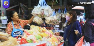 ประชาชนร่วมเลือกซื้อ “ขนมเดือนสิบ” เตรียมรับตา-ยาย สืบสานประเพณีสารทเดือนสิบ