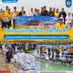 กิจกรรมปล่อยพันธุ์ปลา 200,000 ตัว เนื่องในวันครบรอบพิธีเปิดเขื่อนบางลาง เพื่อฟื้นฟูระบบนิเวศและสร้างความมั่นคงทางอาหารให้ชุมชน