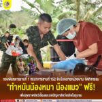 กองพันทหารราบที่ 1 กรมทหารราบที่ 152 จับมือหลายหน่วยงานจัดกิจกรรม “ทำหมันน้องหมา น้องแมว” ฟรี! เพื่อสุขภาพสัตว์เลี้ยงและลดปัญหาสัตว์จรจัดในชุมชน