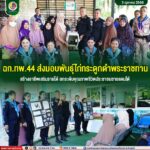 ฉก.ทพ.44 ส่งมอบพันธุ์ไก่กระดูกดำพระราชทาน สร้างอาชีพเสริมรายได้ ยกระดับคุณภาพชีวิตประชาชนชายแดนใต้