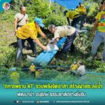 “ทหารพราน 47” รวมพลังจิตอาสา สร้างฝายชะลอน้ำ พัฒนาป่า อนุรักษ์ ธรรมชาติอย่างยั่งยืน