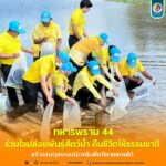 ทหารพราน 44 ร่วมใจปล่อยพันธุ์สัตว์น้ำ คืนชีวิตให้ธรรมชาติ สร้างสมดุลระบบนิเวศในพื้นที่ชายแดนใต้