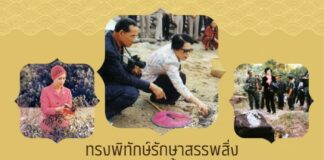 ทรงพิทักษ์รักษาสรรพสิ่ง ห่วงโลกจะร้อนแล้ง น้ำจะแห้งจะเหือดหาย แผ่นดินจะมลาย และส่ำสัตว์จะสิ้นสูญ