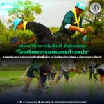 เจ้าหน้าที่ทหารในพื้นที่ จัดกิจกรรม “โรงเรียนอารยเกษตรก้าวหน้า” สานพลังชุมชนร่วมดำนา ปลูกข้าวพันธุ์พื้นบ้าน ณ โรงเรียนบ้านมะนังยง อ.ทุ่งยางแดง จ.ปัตตานี