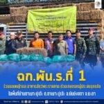 ฉก.พัน.ร.ที่ 1 ร่วมมอบหญ้าและอาหารสัตว์พระราชทานช่วยเกษตรกรผู้ประสบอุทกภัย ในพื้นที่บ้านตาเนาะปูเต๊ะ ต.ตาเนาะปูเต๊ะ อ.บันนังสตา จ.ยะลา