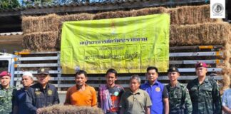 ฉก.พัน.ร.ที่ 1 ร่วมมอบหญ้าและอาหารสัตว์พระราชทานช่วยเกษตรกรผู้ประสบอุทกภัย ในพื้นที่บ้านตาเนาะปูเต๊ะ ต.ตาเนาะปูเต๊ะ อ.บันนังสตา จ.ยะลา