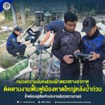 หน่วยความมั่นคงร่วมเฝ้าตรวจทางอากาศ ติดตามงานฟื้นฟูเมืองหาดใหญ่หลังน้ำท่วม ย้ำพร้อมอยู่เคียงข้างประชาชนในทุกสถานการณ์